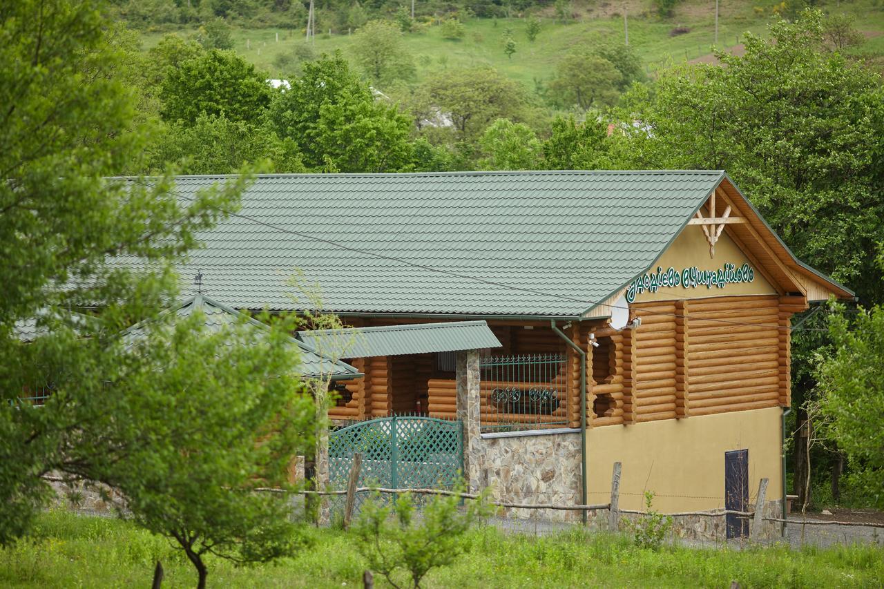 Chudodievo In Chynadievo Mini-Hotel Chynadiyovo Екстериор снимка